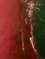 9/79-D002_1460
